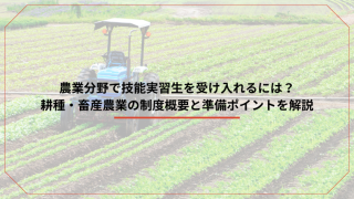 農業分野で技能実習生を受け入れるには？耕種・畜産農業の制度概要と準備ポイントを解説のアイキャッチ