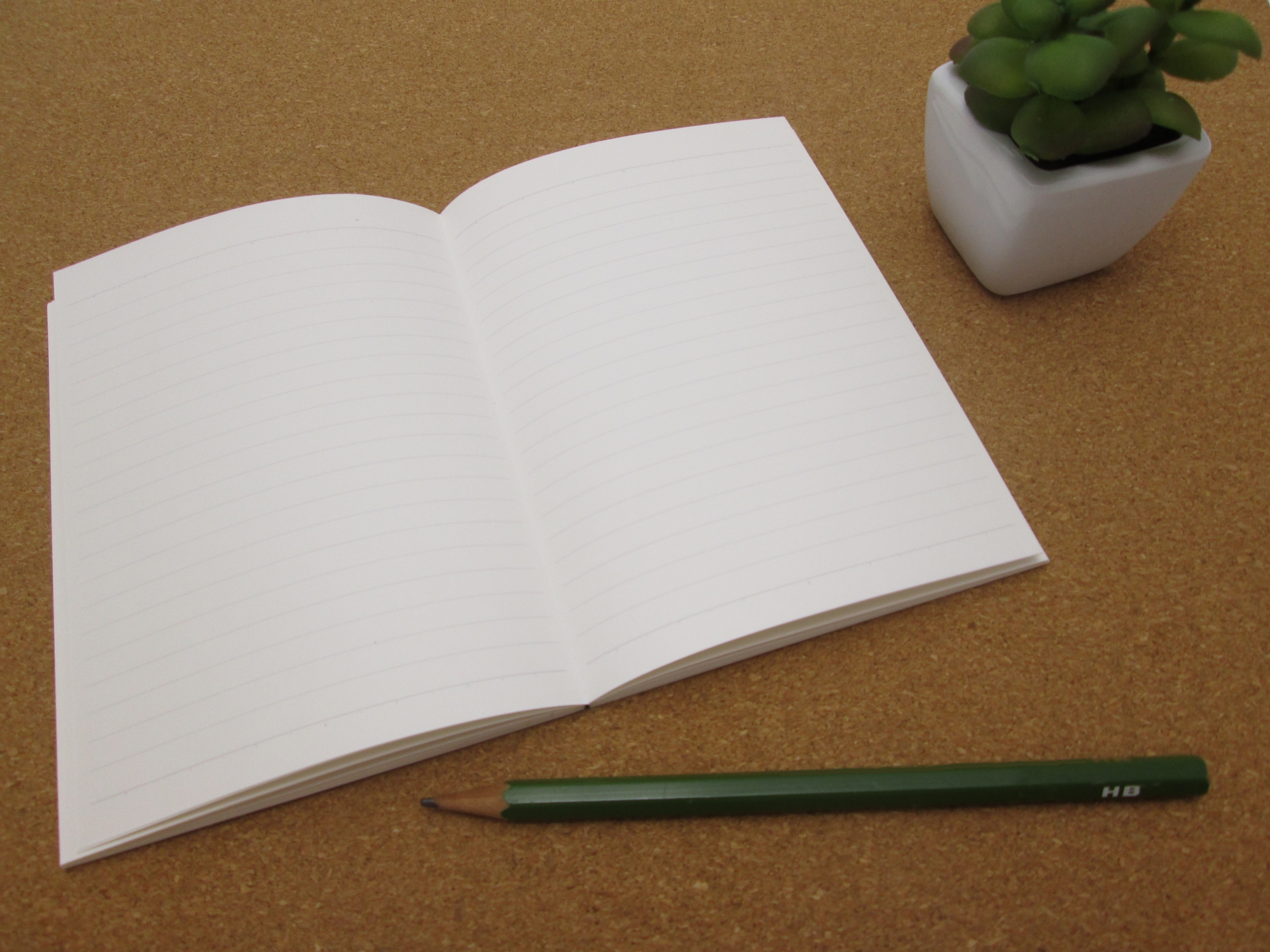 技能実習日誌とは？制度における位置づけと目的