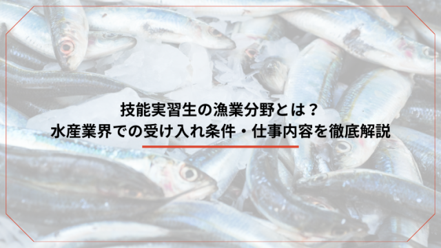 技能実習生の漁業分野とは？水産業界での受け入れ条件・仕事内容を徹底解説のアイキャッチ画像です