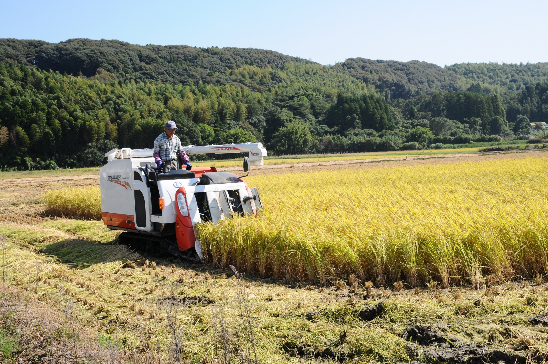 農業分野における技能実習制度とは？
