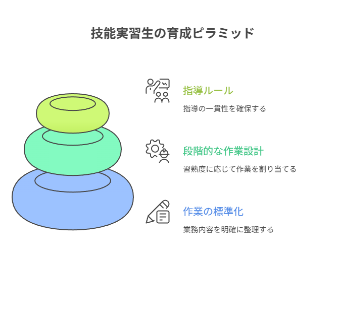 技能実習生の育成ピラミッド
