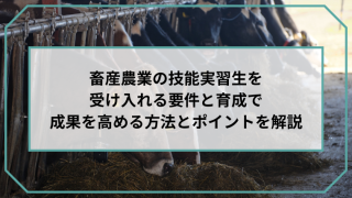 畜産農業の技能実習生を受け入れる要件と育成で成果を高める方法とポイントを解説のアイキャッチ画像です。